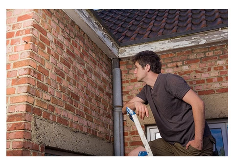 Make Your Property Safe with Building Pest Inspection in Melbourne