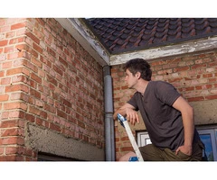 Make Your Property Safe with Building Pest Inspection in Melbourne