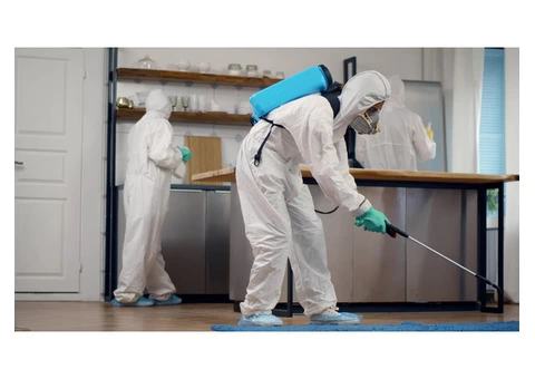 OZ Pest Control Sydney - 1/5