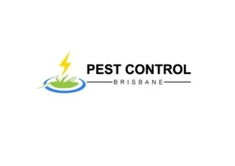 Termite Control Brisbane - 1/3