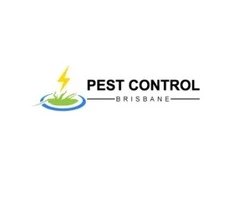 Termite Control Brisbane