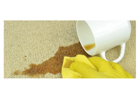 City Carpet Cleaning Woody Point - 2/7