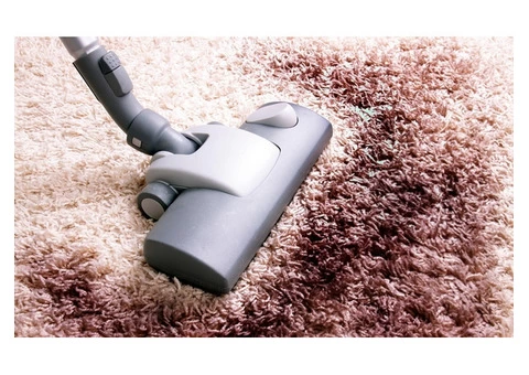 711 Carpet Cleaning Castle Hill - 3/5