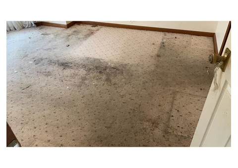 Carpet Steam Cleaning