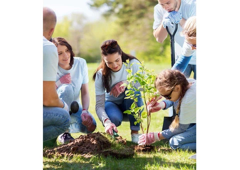 Community Participation Provider Rooty Hill - 0410 592 933 - Soft Care Disability Services - 2/3