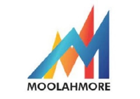 Moolahmore Cash Flow Tool - New Year Sale 50% Discount