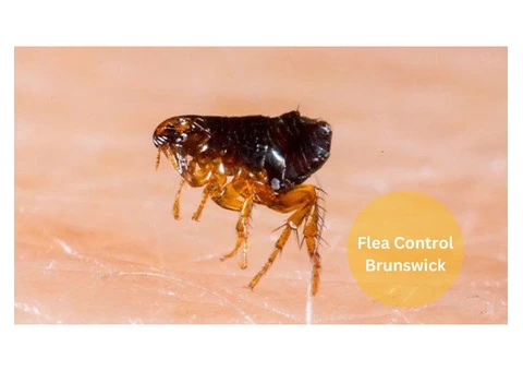 Flea Control Brunswick