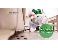 Pest Control Northcote