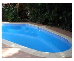 Get Pool Vacuums Delivered At DoorStep with this Company