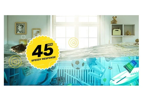 Water Damage Repair & Flood Restoration Services - 1/8