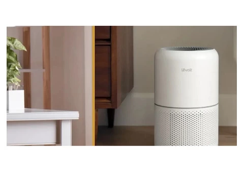 Efficient & Reliable Mould Removal Services - 4/6
