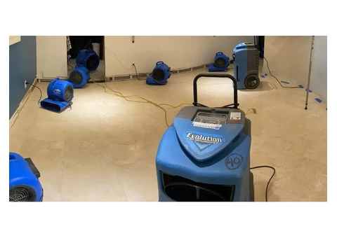 Efficient & Reliable Mould Removal Services - 5/6