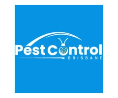 Silverfish Control Brisbane