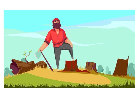 Universal tree care is providing the Tree removal service in Hunter