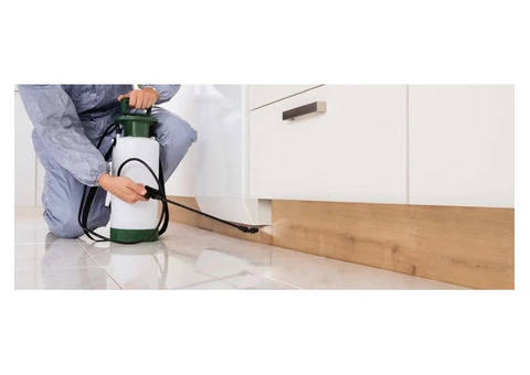 711 Pest Control Springfield Lakes - 5/6