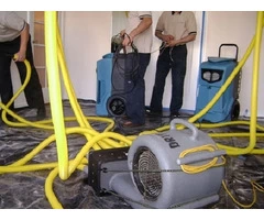 What Are The Basic Cleanup Services Involved In Melbourne City?