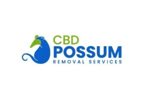 CBD Possum Removal - 2/8