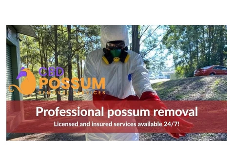 CBD Possum Removal - 6/8