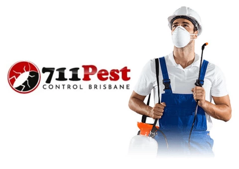 711 Pest Control Sunshine Coast - 2/7