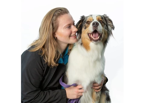 Video Production Company Adelaide | The Forward Co. - 2/4