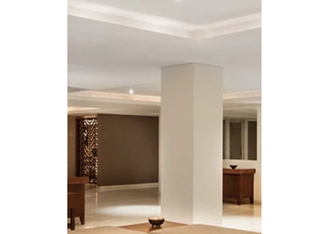 Transform Your Home with Professional Paint, Plaster, and Carpentry Work!