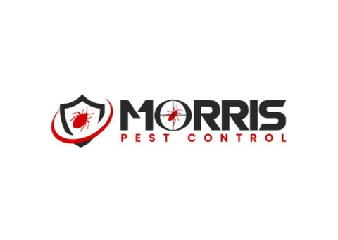 Morris Wasp Removal Adelaide