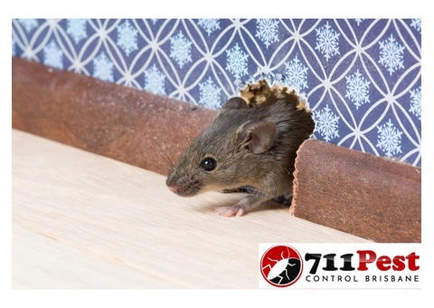 711 Rodent Control Brisbane - 2/2