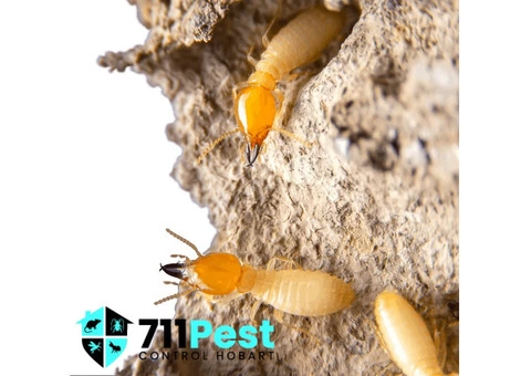 711 Termite Pest Control Hobart - 2/2