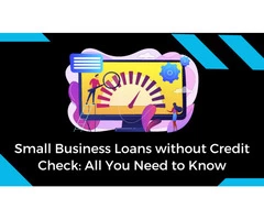 Small Business Loans without Credit Check: All You Need To Know