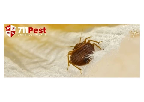 711 Bed Bug Control Hobart
