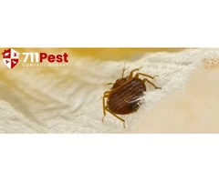 711 Bed Bug Control Hobart