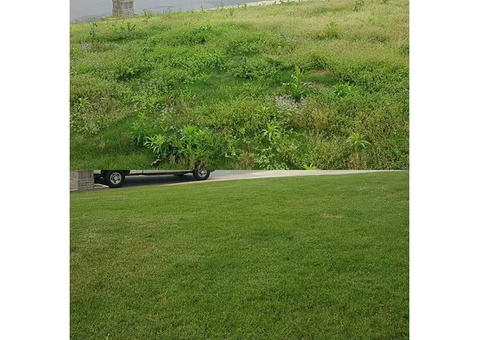 Choose The Best Grass Paint For Your Garden In Australia