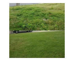 Choose The Best Grass Paint For Your Garden In Australia