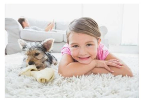 Carpet Cleaning Cleveland in Brisbane