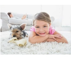 Carpet Cleaning Cleveland in Brisbane