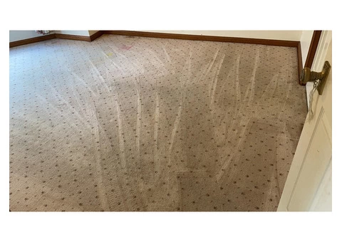 Carpet Cleaning