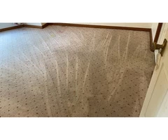 Carpet Cleaning