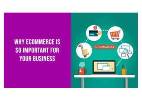 Shopify Website Developer: Get the best and Customer friendly website