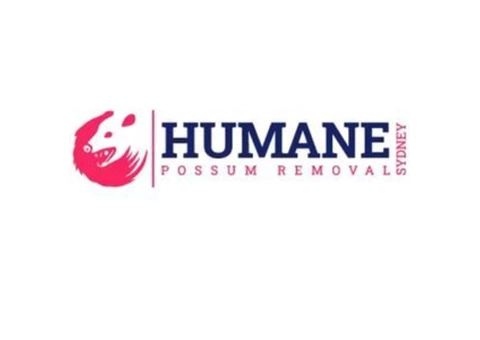 Humane Possum Removal Newcastle - 2/7