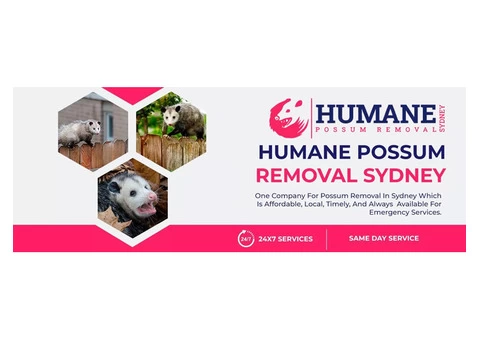 Humane Possum Removal Newcastle - 4/7