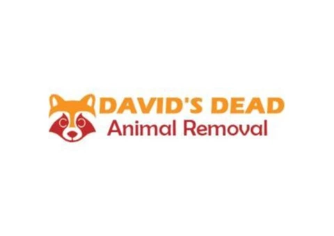 David's Dead Pet Removal Hobart - 1/7