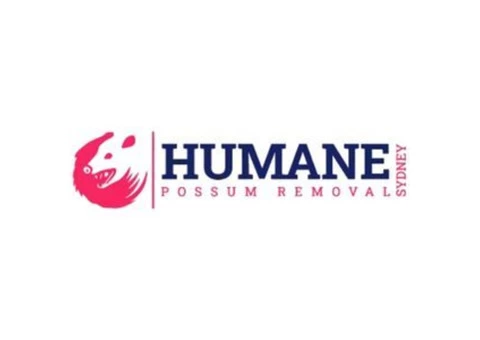 Humane Possum Removal Sutherland Shire - 3/3