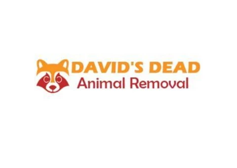 David's Dead Mice Removal Hobart - 2/7
