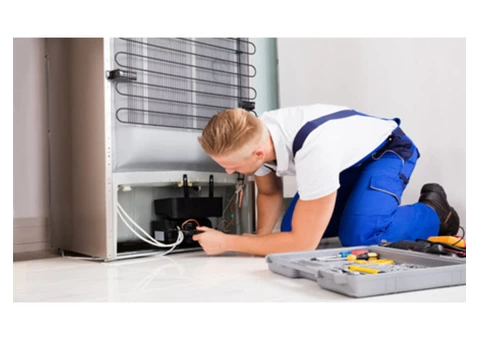 Get Best Quality Fridge Repairs in Greystanes