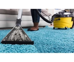 Get The Best Water Damage Carpet Cleaning In Melbourne