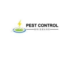 Rodent Control Brisbane