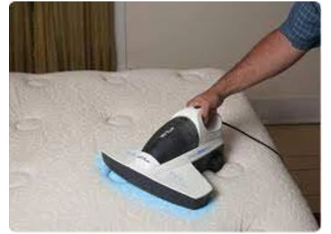 Mattress Dust Mites Treatment Sunshine Coast | Mattress Dust Mite Removal Treatment