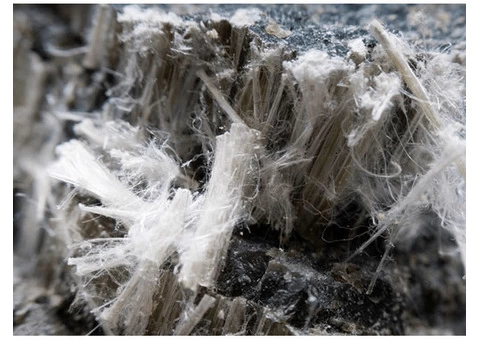 Looking For Licensed Asbestos Removal Experts In Randwick?