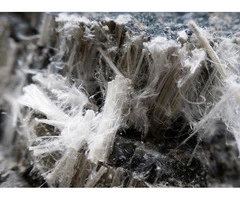Looking For Licensed Asbestos Removal Experts In Randwick?