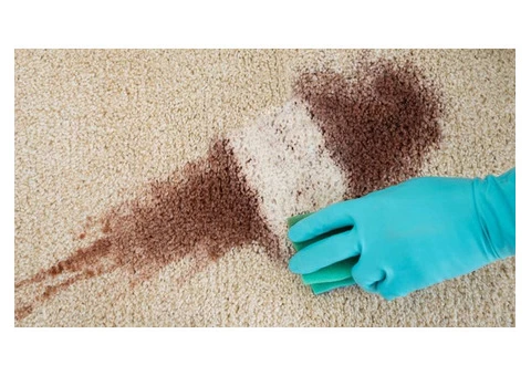 711 Carpet Cleaning Chatswood - 5/7